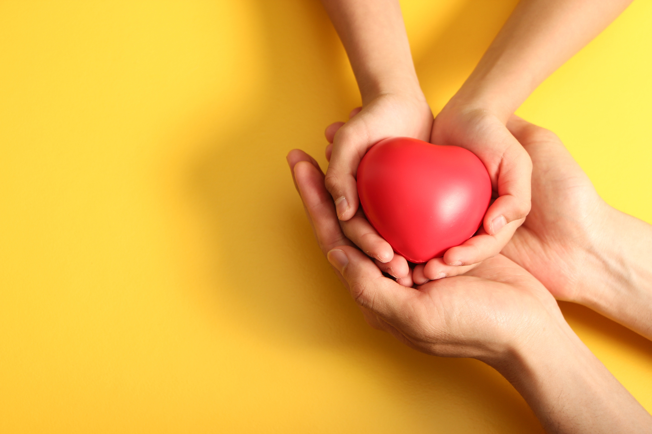 adult and child hands holding red heart, health care, donate and family insurance concept,world heart day